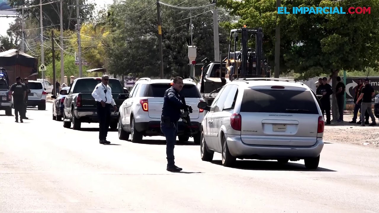 Resultan seis muertos de enfrentamiento entre AMIC y presuntos delincuentes