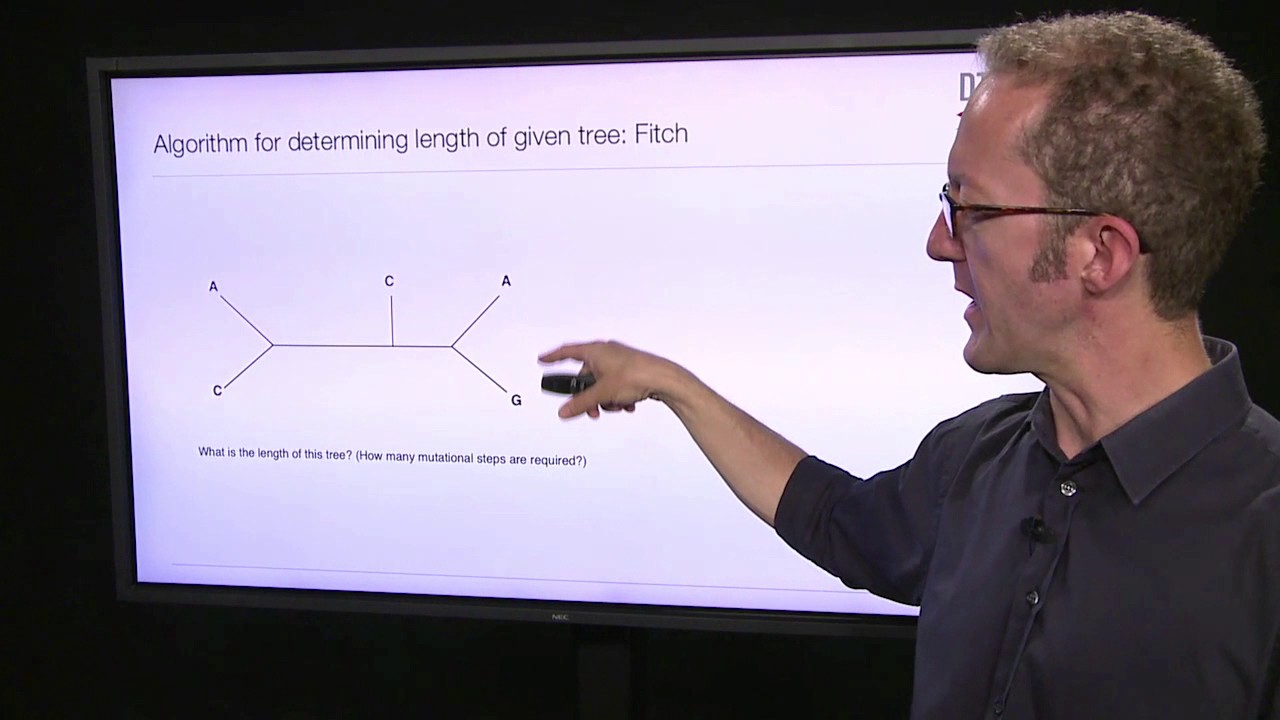 The Fitch Algorithm