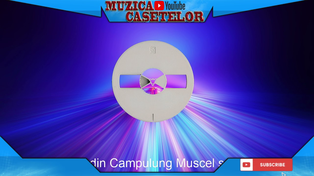 FORMAȚIA DINAMIC DIN CÂMPULUNG MUSCEL VOL9... BANDĂ MAGNETOFON RIP...