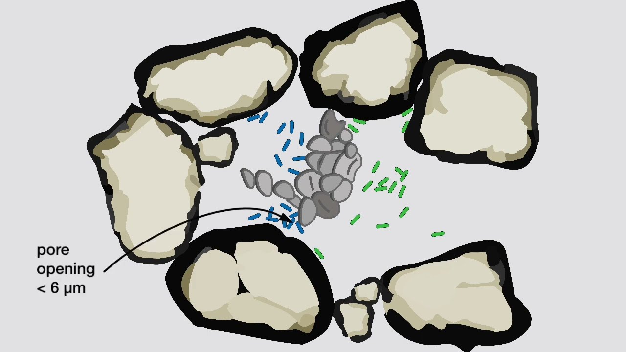 Soil predation and pore space