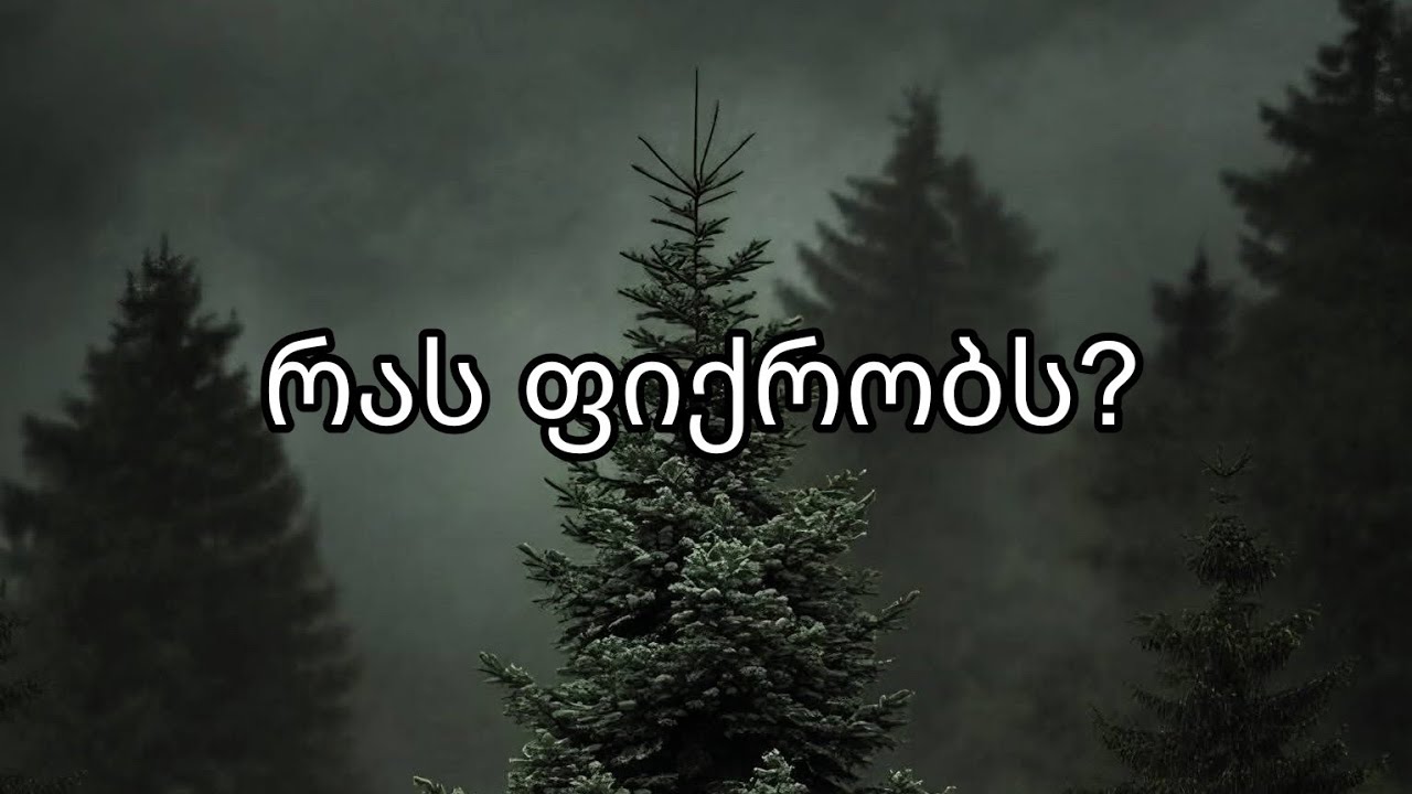🔮🦋 რას ფიქრობს❓🪞🧿 საჯარო გაშლა...
