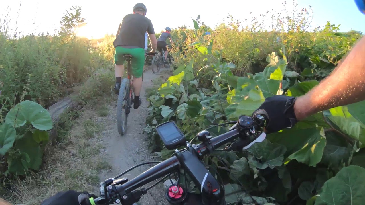 MTB Bergschenhoek 3 juli 2019