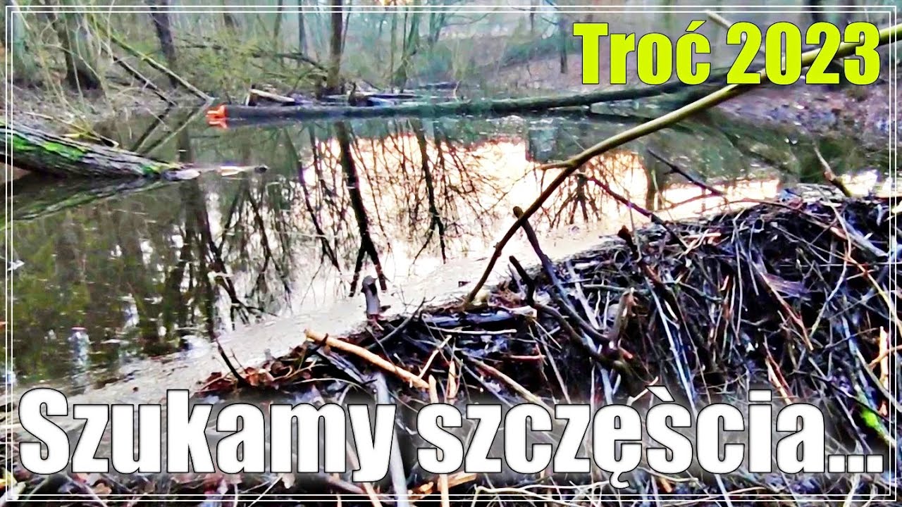 TROĆ 2023 - Czy się znowu udało ?! Konkurs / Przynęty / Miejsca...