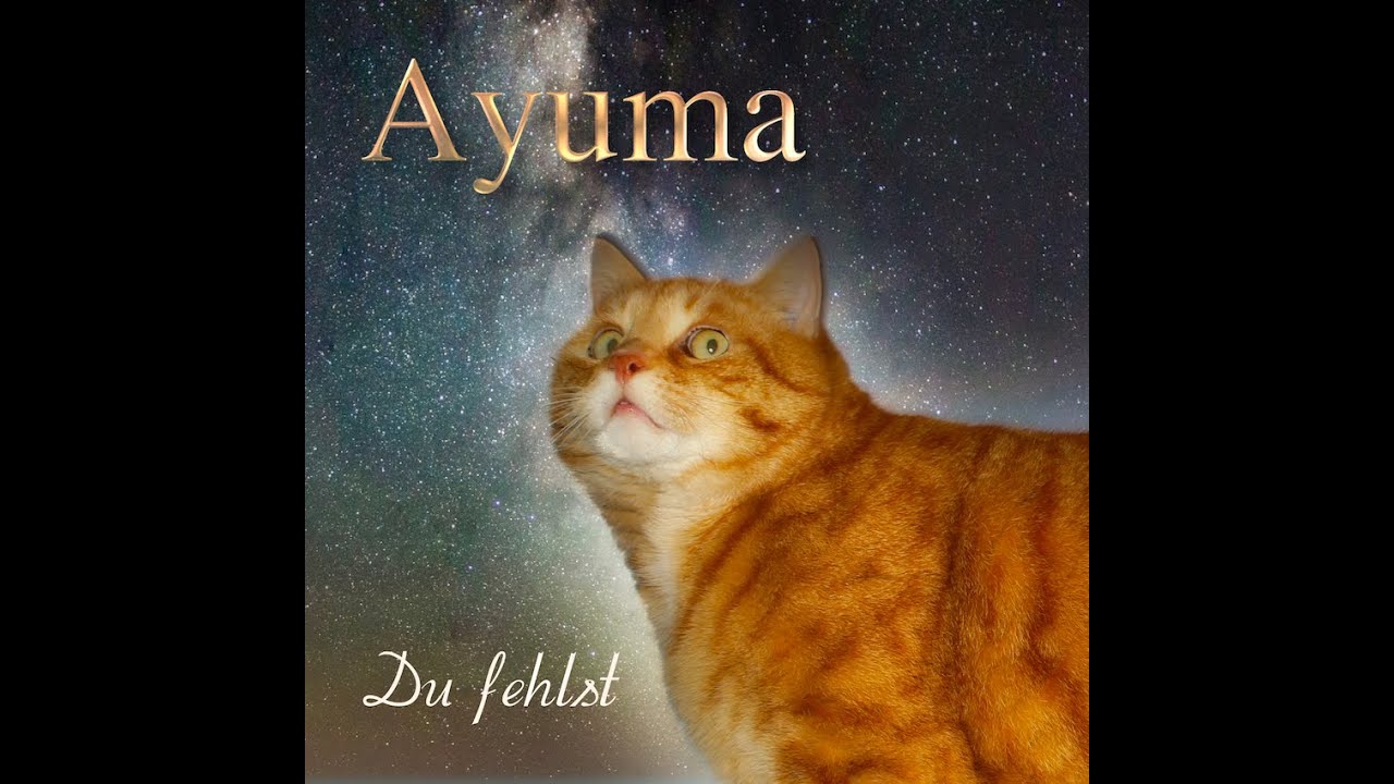 Du fehlst