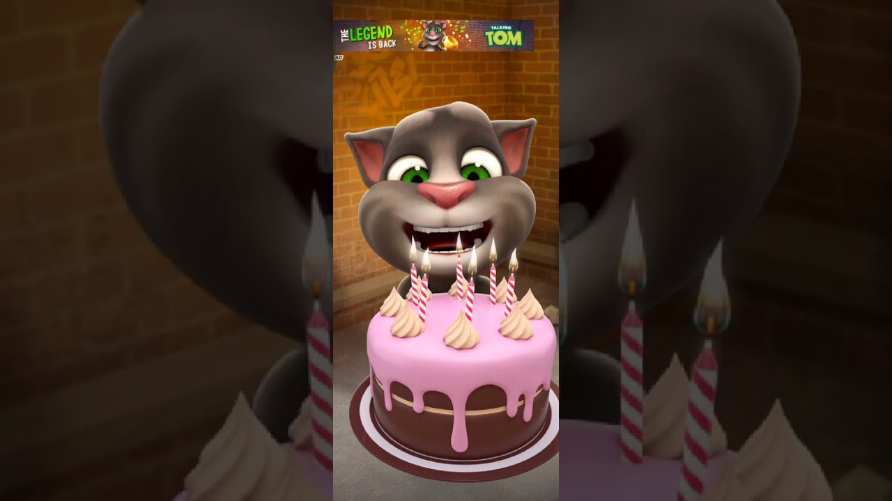 Talking Tom cat 