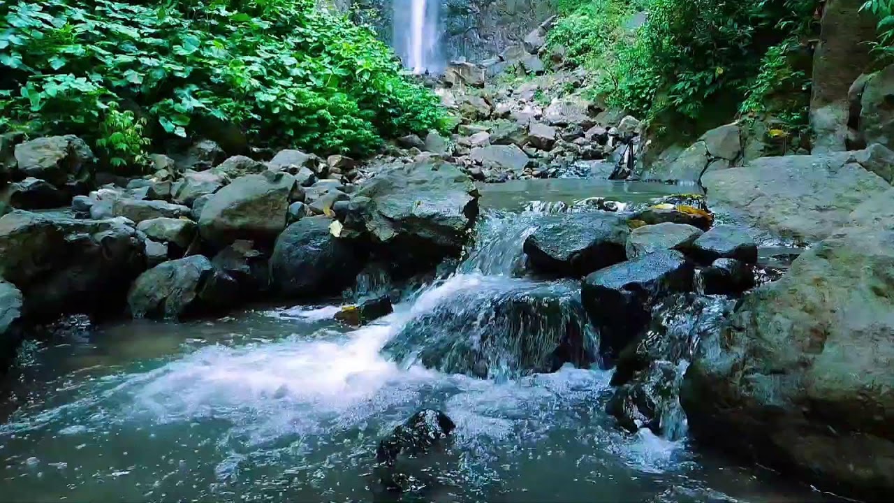 Tropical Nature River Sounds – 11 Hour Forest Ambience | Study, Relax & Meditation