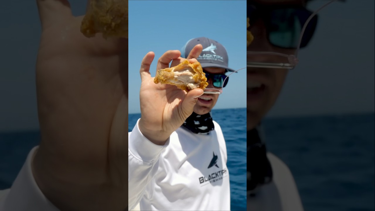 Do Fish Eat Fried Chicken?