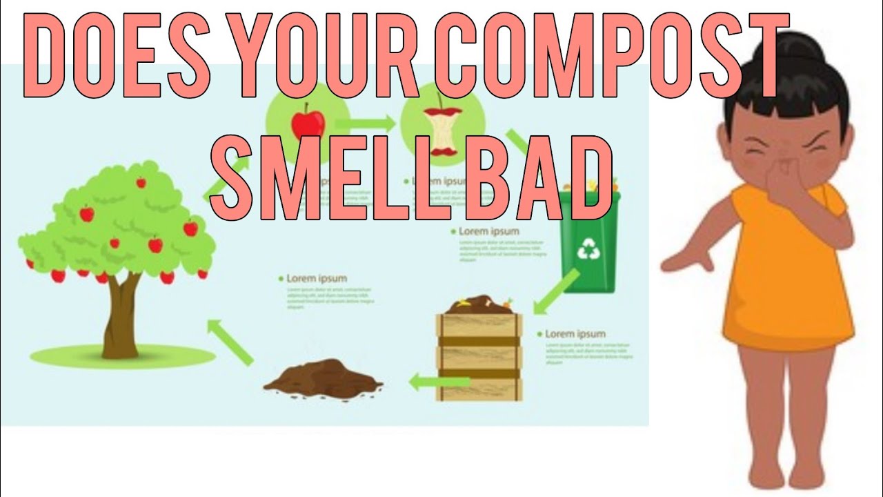 Make compost without bad smell at home  #composting #compost  #kitchencompost