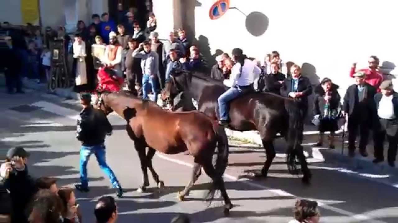 Festa di San Giorgio 2012 Piana degli Albanesi - Sfilata dei Cavalli parte 2°.MP4