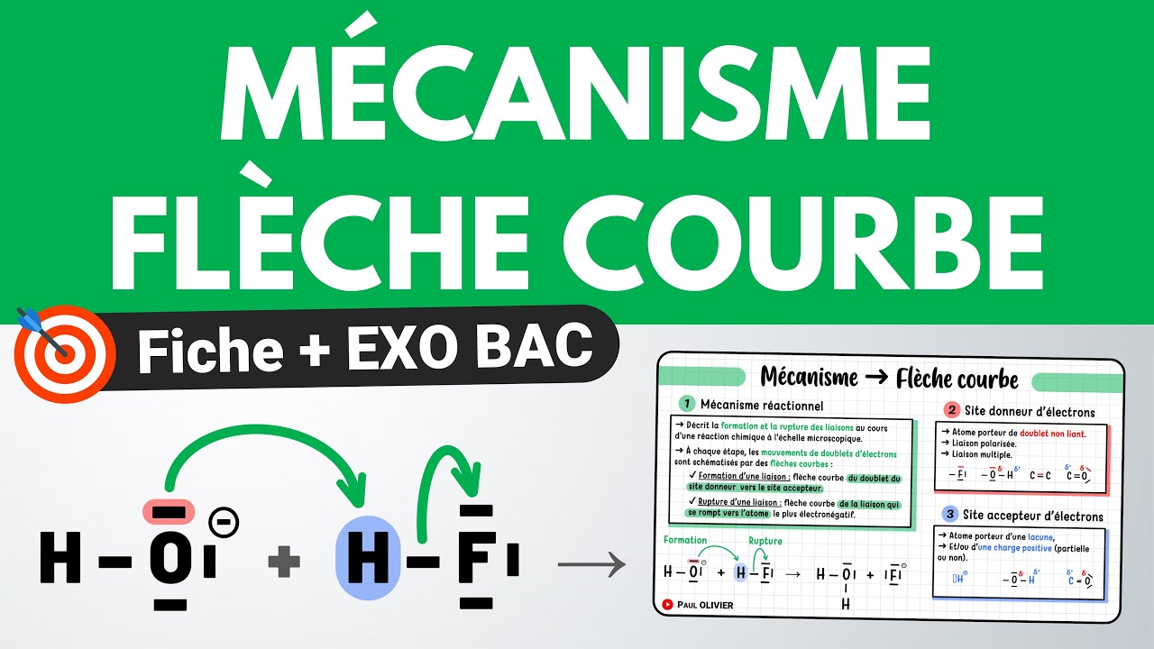 Mécanisme réactionnel & FLÈCHE COURBE 💚 Révision + EXO BAC | Chimie | Terminale spécialité