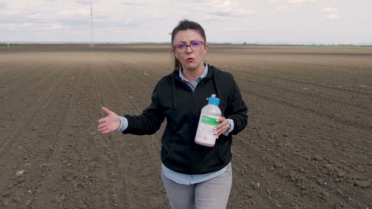Zastita SUNCOKRETA od SIROKOLISNIH korova, Herbicid VIBALLA