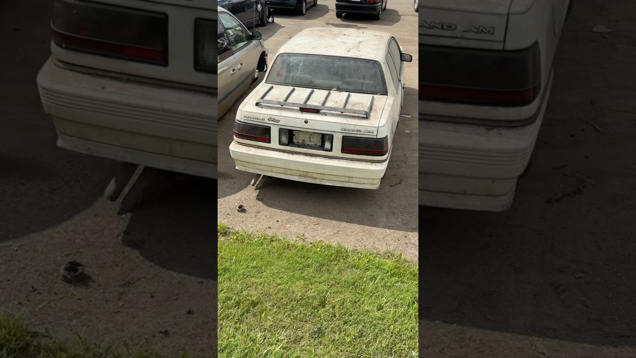 When was the last time you saw a 1987 Pontiac Grand Am ? #pontiac #grandam #gm #classiccar #autos