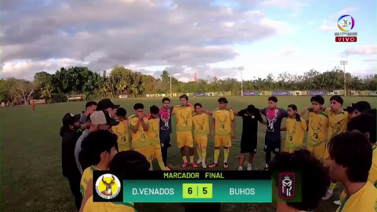En vivo Liga TDP Deportiva Venados Vs  Búhos CTM Desde el estadio Alonso Diego Molina.