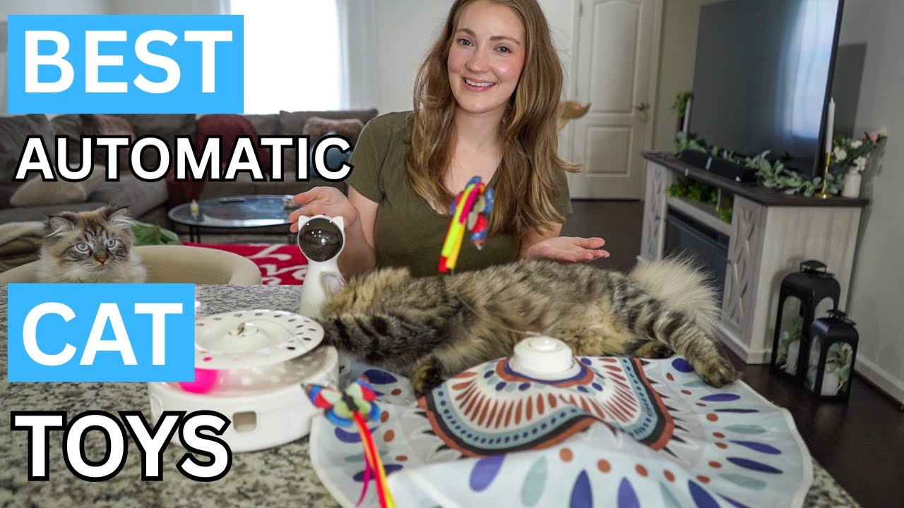 The Best Automatic Interactive Cat Toys
