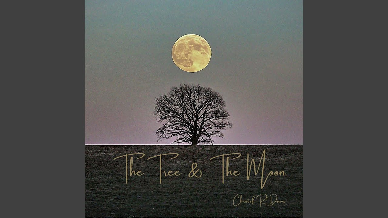 Bonus Track: The Tree & The Moon (feat. Matteo Morbidelli, Elisabetta Paolini, DIvusae...