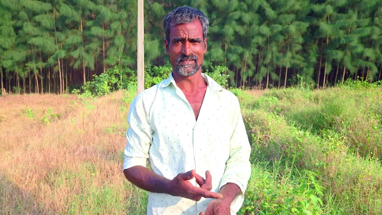 குண்டுமல்லி பயிரிடும் முறை மற்றும் பராமரிக்கும் முறை - 7 #jasmine #cultivation #flowers  #vivasayam