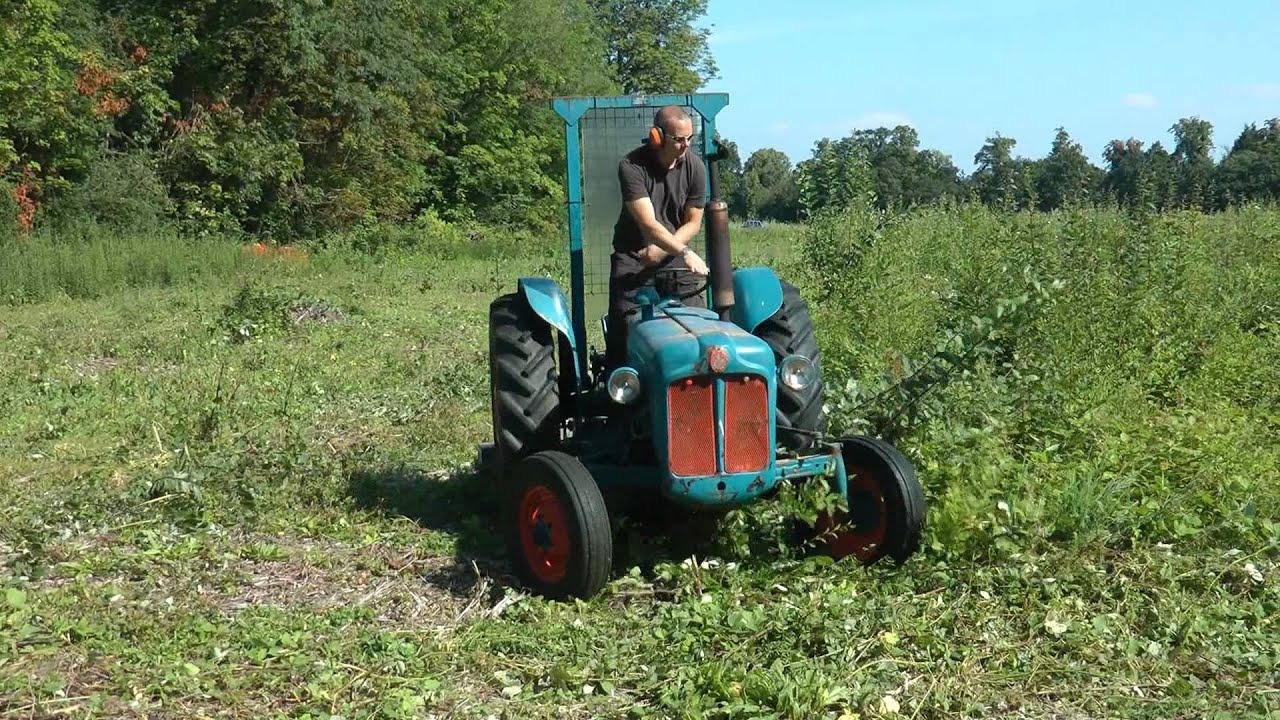 1959 Fordson Dexta Clearing Saplings with Topper
