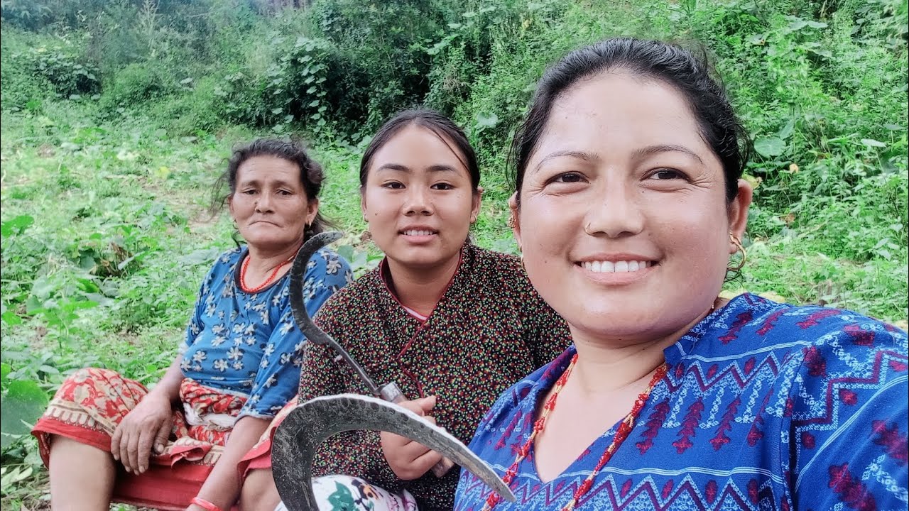 हाम्रो बारीमा तोरी छरेको भिडियो छोटो 🌿🌿