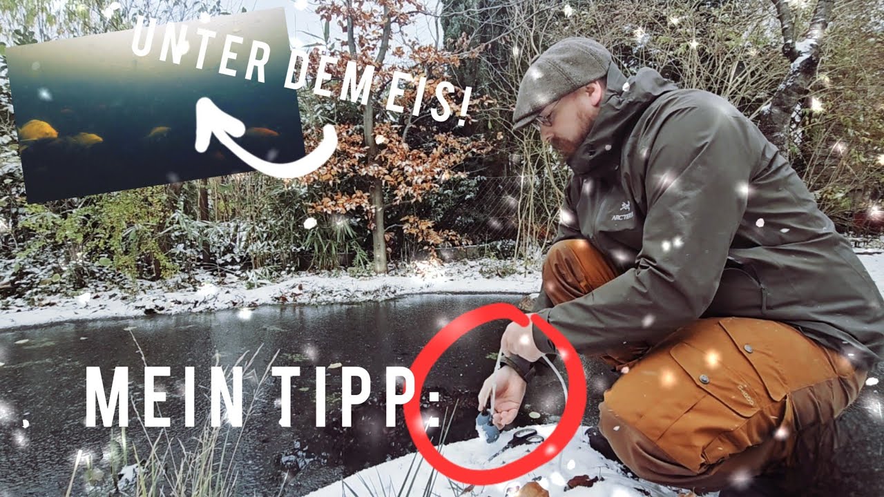 Gartenteich EISFREI halten || +Unterwasser Aufnahmen unter dem Eis! 🐟🪸❄️