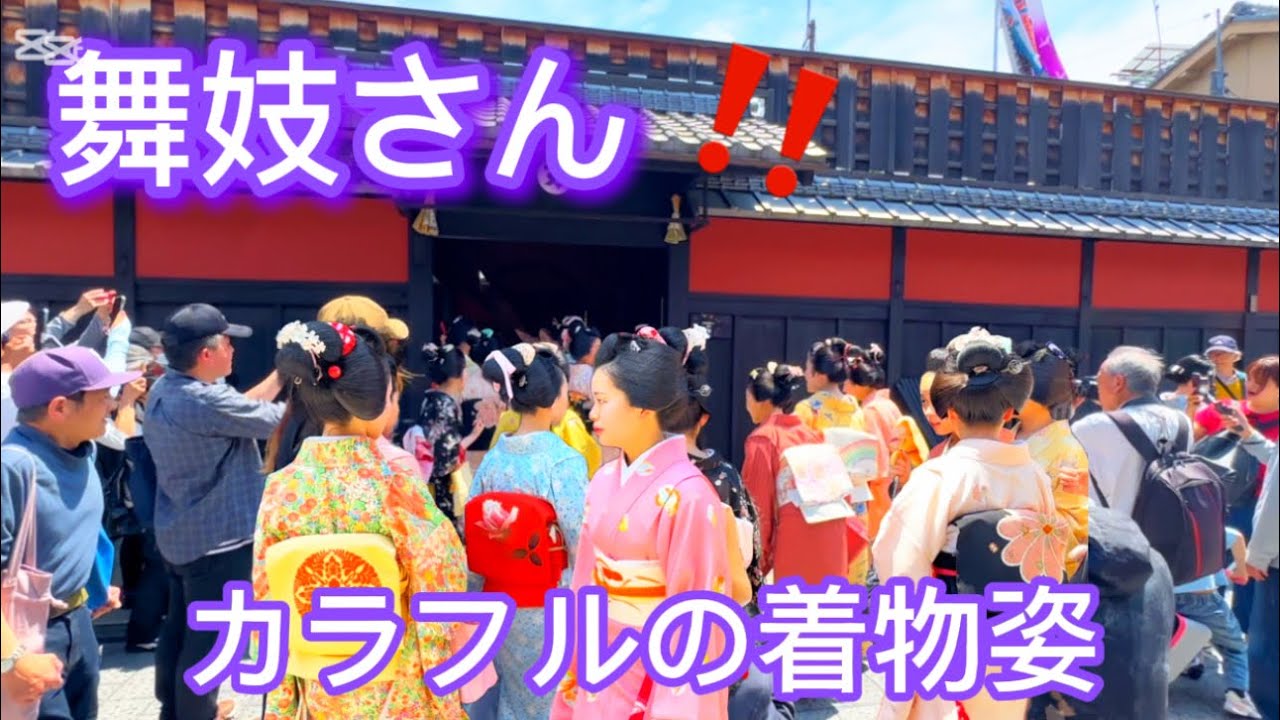 【京都祇園】5/1舞妓さんがカラフルの着物姿を並んで歩く‼️|Meet and Greet by Maiko in Kyoto Gion