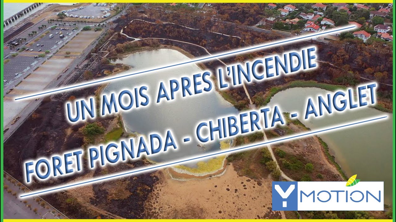 TERRIBLE INCENDIE PAYS BASQUE dans la Forêt du Pignada à Chiberta un mois après By YMOTION