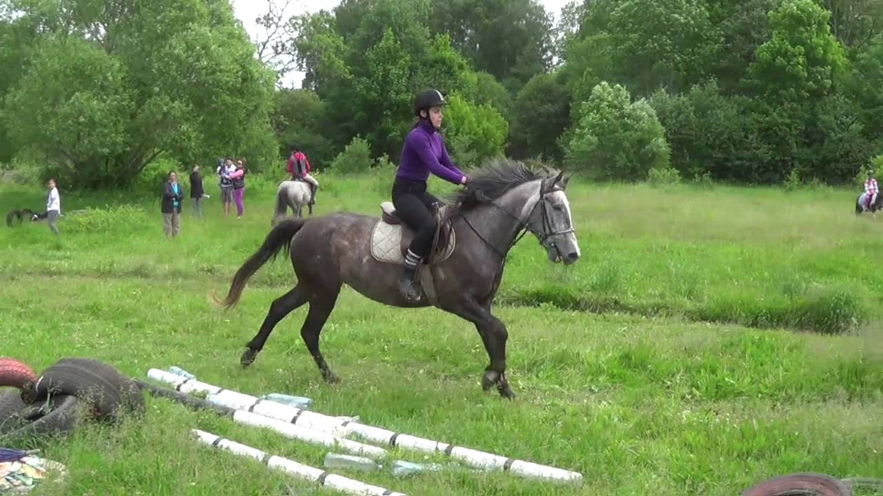 2016 06 05 Juras Zirgi