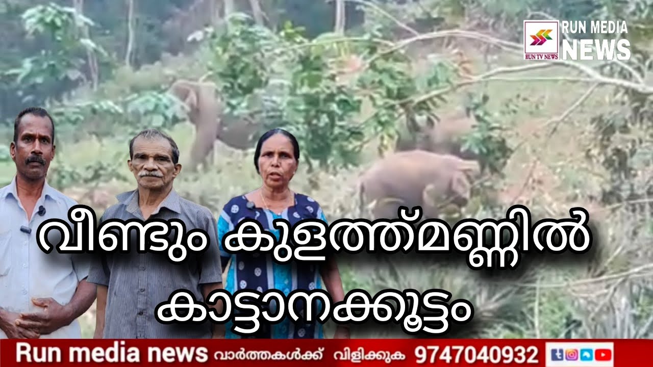 കാട്ടാനകളുടെ ശല്യം രൂക്ഷമാകുന്നു