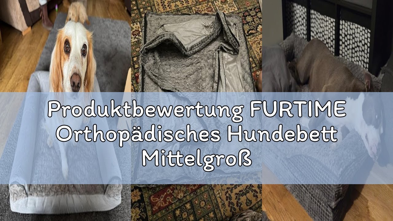 Produktbewertung FURTIME Orthopädisches Hundebett Mittelgroße Hunde, Memory Foam Hundekorb Grosse Hu