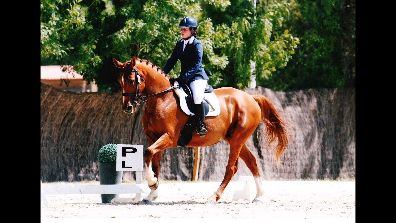 Championnat de France 2019 ; Dressage Club Elite Excellence (GP)