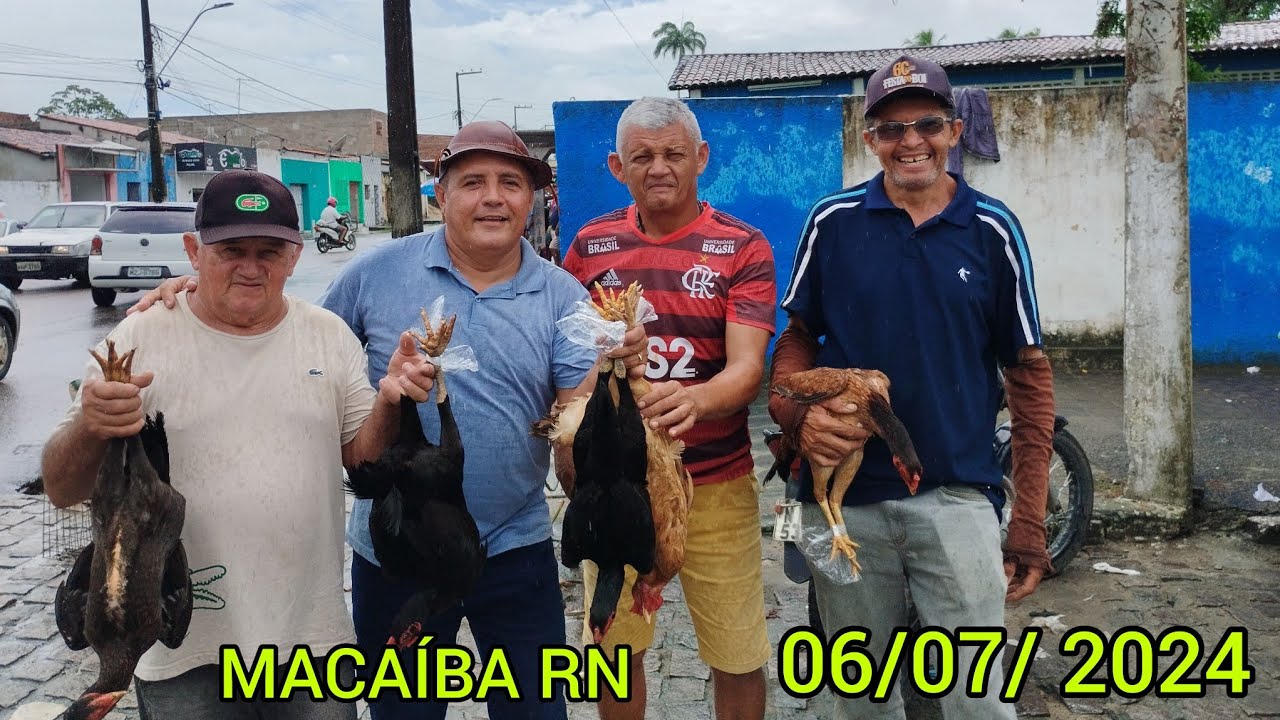 hoje fui na feira de animais de MACAÍBA RN, comprar galinha 🐔