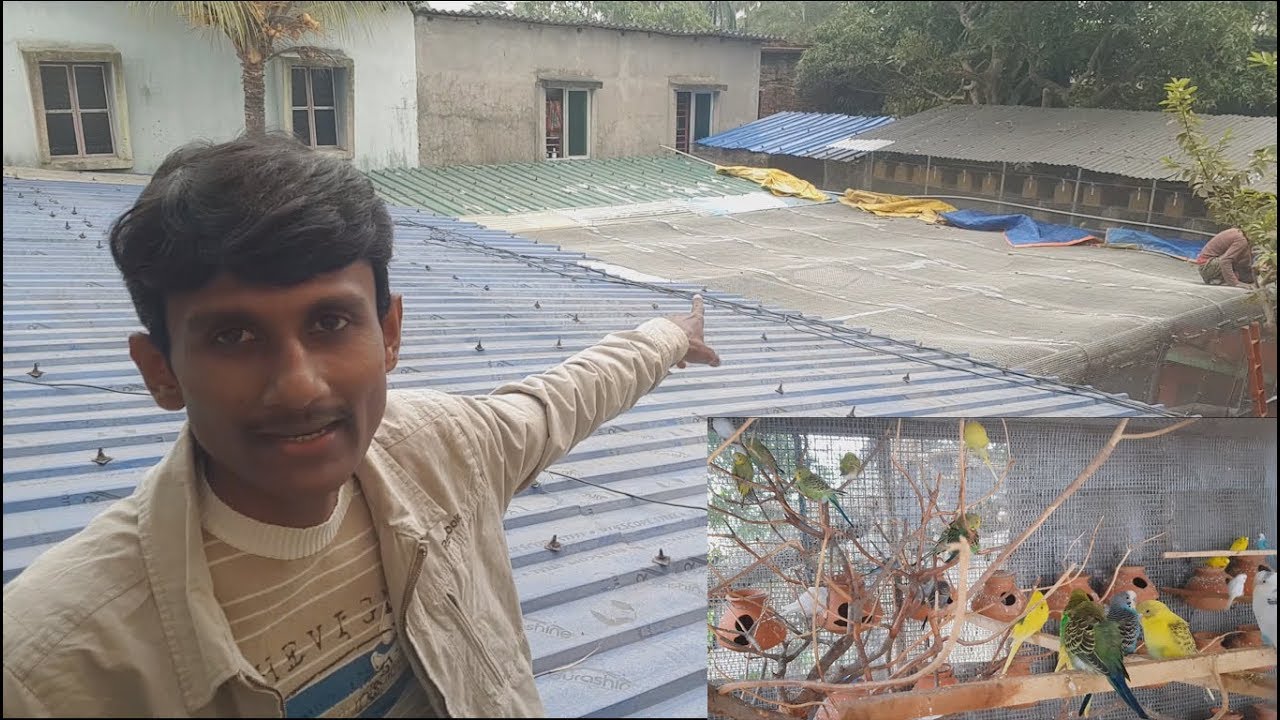 Birds Parrots Open Outdoor Aviary Farm Complete Setup Tour / Large Bird Breeding Farm Colony.