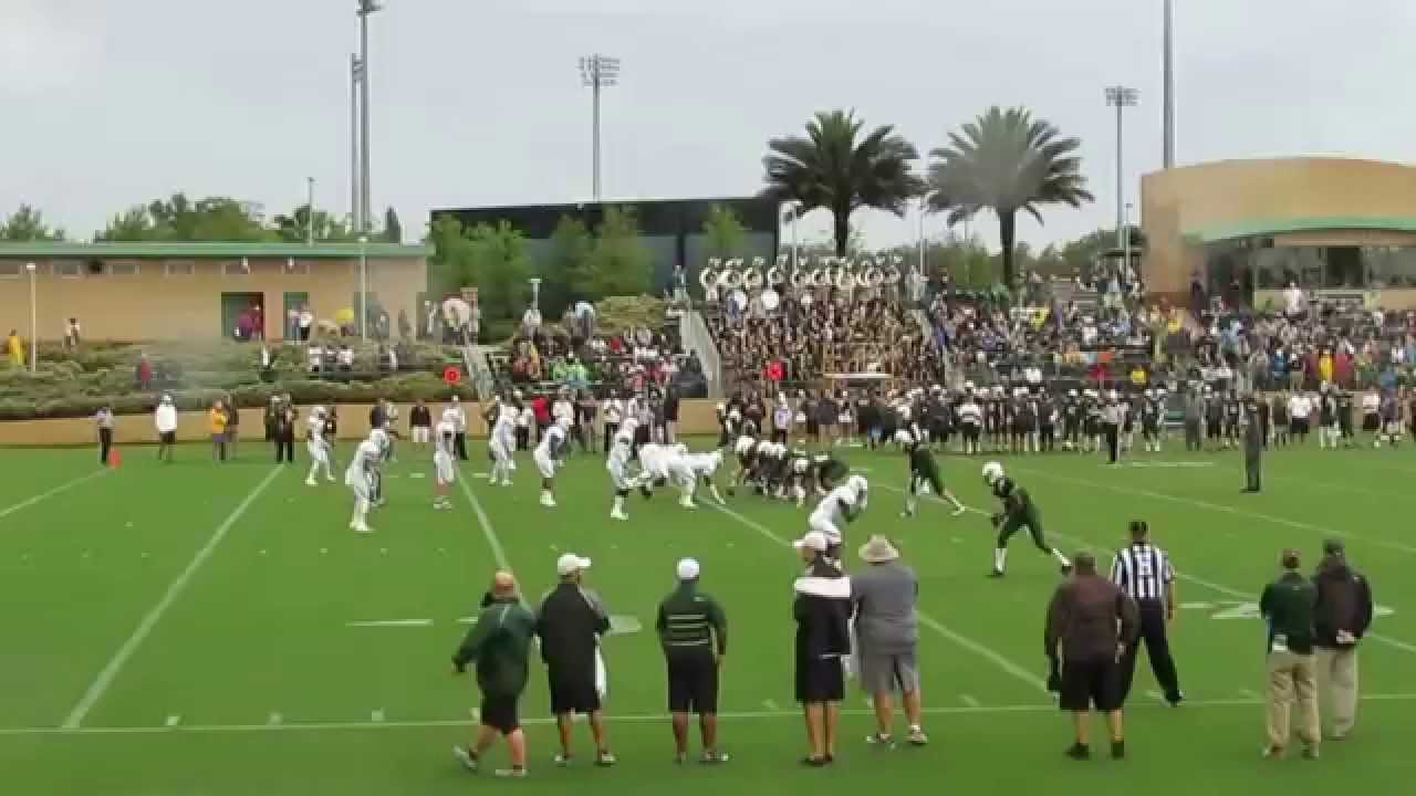 MVI 3629 USF SPRING GAME 2014