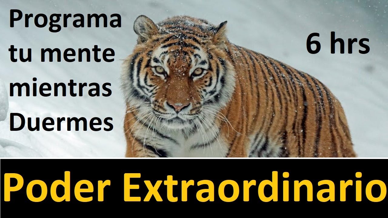 Programa tu mente mientras duermes Poder Extraordinario 6hrs
