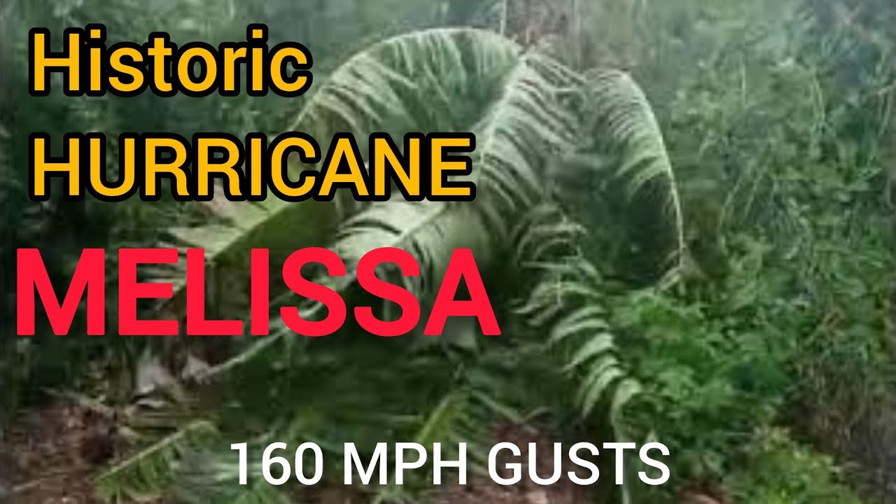 HURRICANE MELISSA Devastating Impact on St. Mary JAMAICA #stormchasing #hurricane #melissa