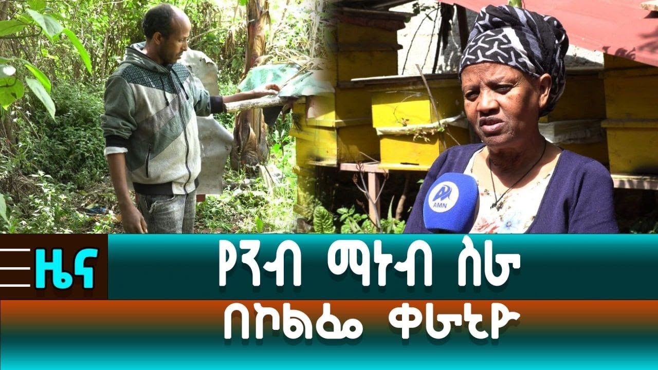 የንብ ማነብ ስራ በኮልፌ ቀራኒዮ