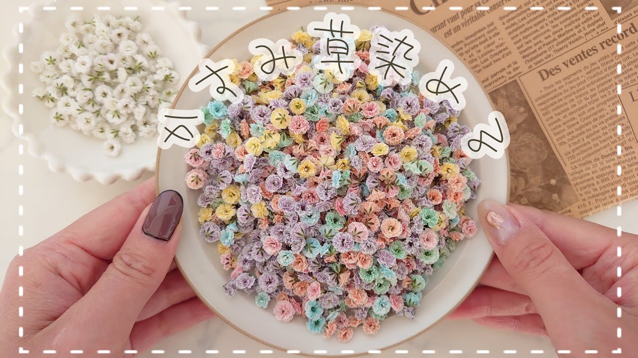 【作業動画】レジン封入用のかすみ草を染めてドライフラワーを作る～ハンドメイドDIY～【vlog】