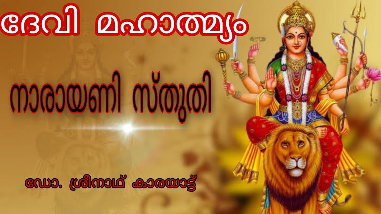 ദേവീമഹാത്മ്യം പതിനൊന്നാം അധ്യായം, നാരായണി സ്തുതി