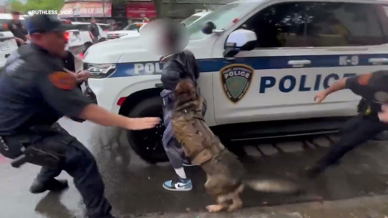 Suffolk County Police dog seen biting man at funeral for slain NYPD Detective