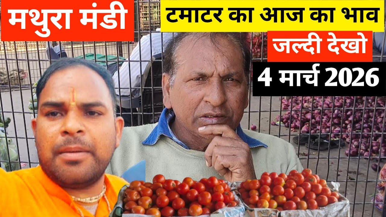 Why This Indian Mandi is Full of Tomatoes 🍅आज का टमाटर  भाव