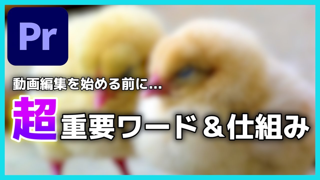 【初心者】動画編集者の卵が知っておくべき超重要ワードと仕組み解説