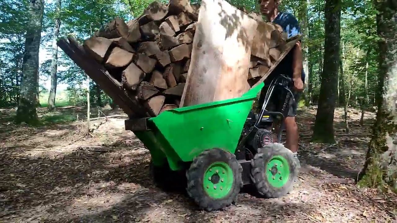 On sort du bois de chauffage brouette zipper #youtubeshorts #forestmen #bucheron