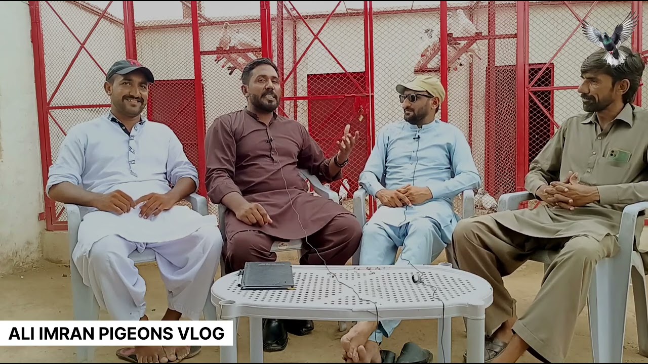 PART 2|| INTERVIEW USTAD RANA TAHIR|| AVERAGE KI KABOTAR BAAZI KA ANOKHA INTERVIEW