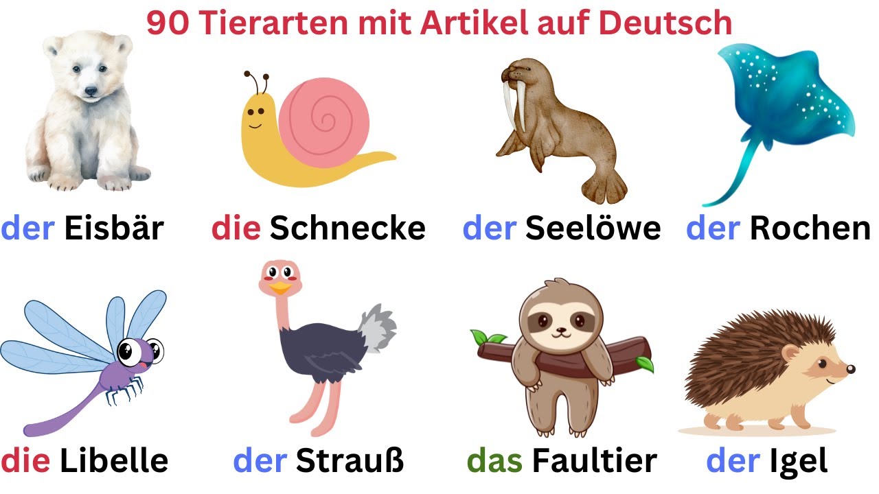 Deutsch Lernen | 90 Tierarten mit Artikel | Sprechen & Hören | Deutsch für Anfänger| A1-B1.
