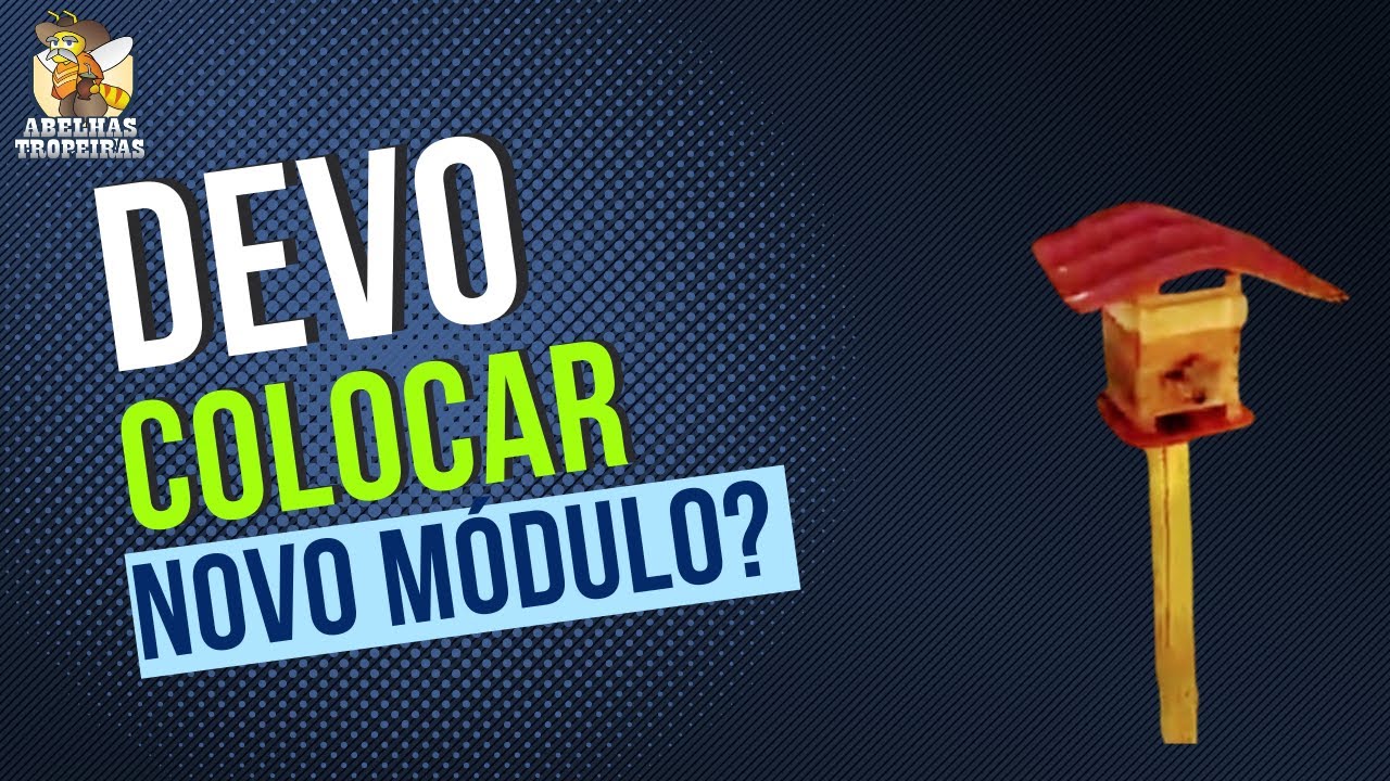 Quando devo ou não acrescentar mais um módulo na colmeia?