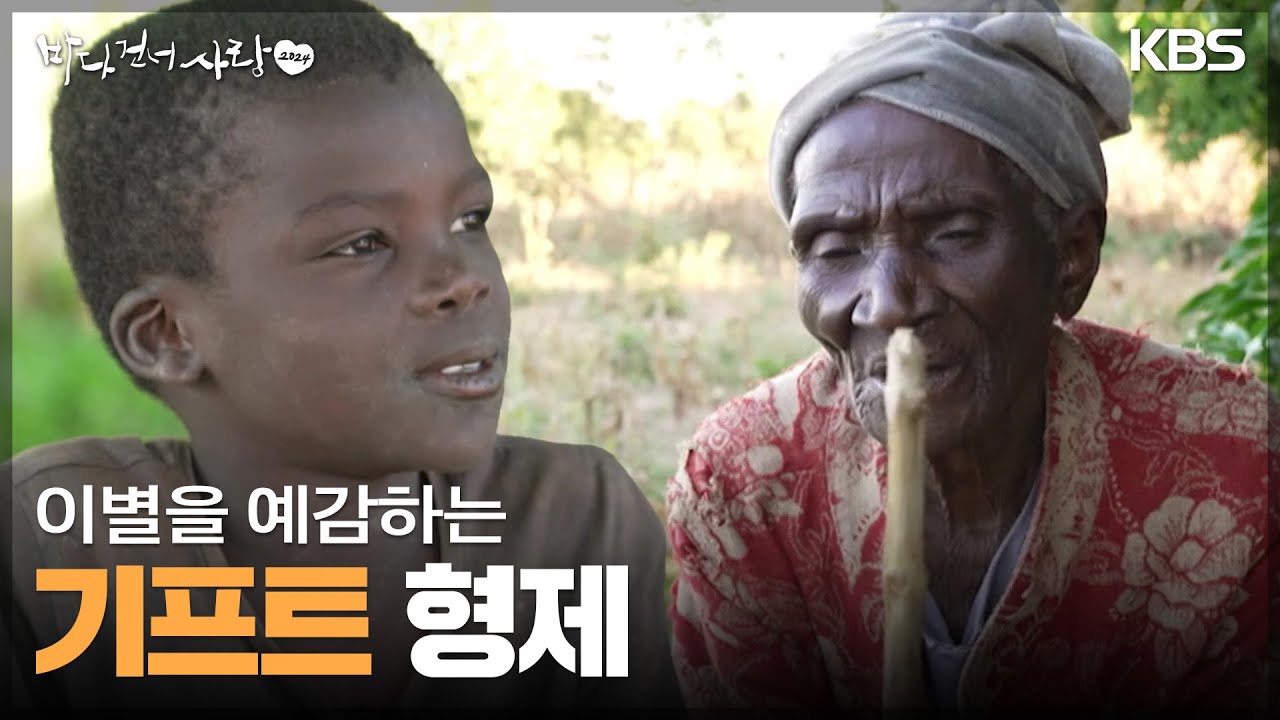 할머니 이별을 예감하는 기프트 형제 (🙏이대호) [바다 건너 사랑 2024] | KBS 240519 방송