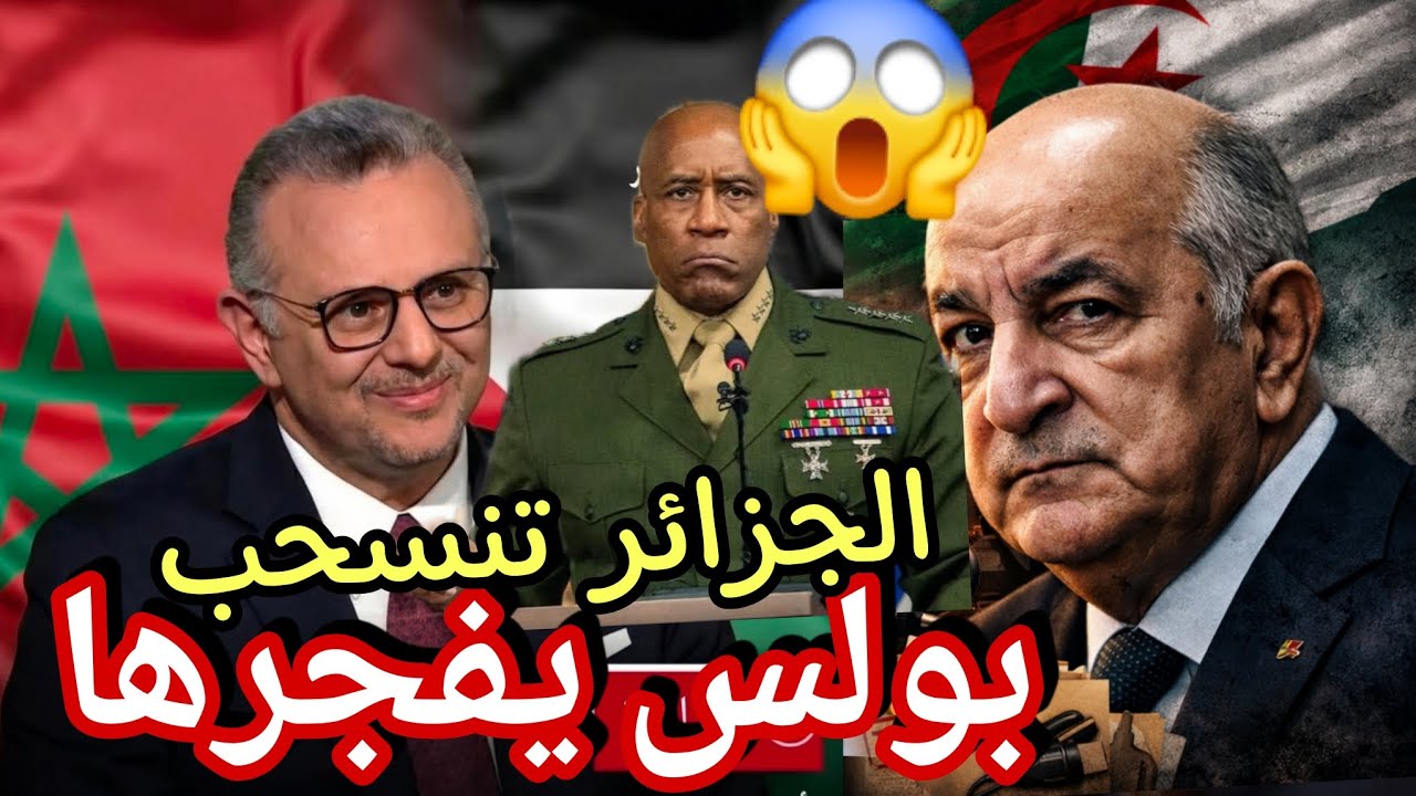مسعد بولس يعترف الجزائر انسحبت رسميا تصريحات قوية لاول مرة اعتراف بخروج الجزائر عن المفاوضات 