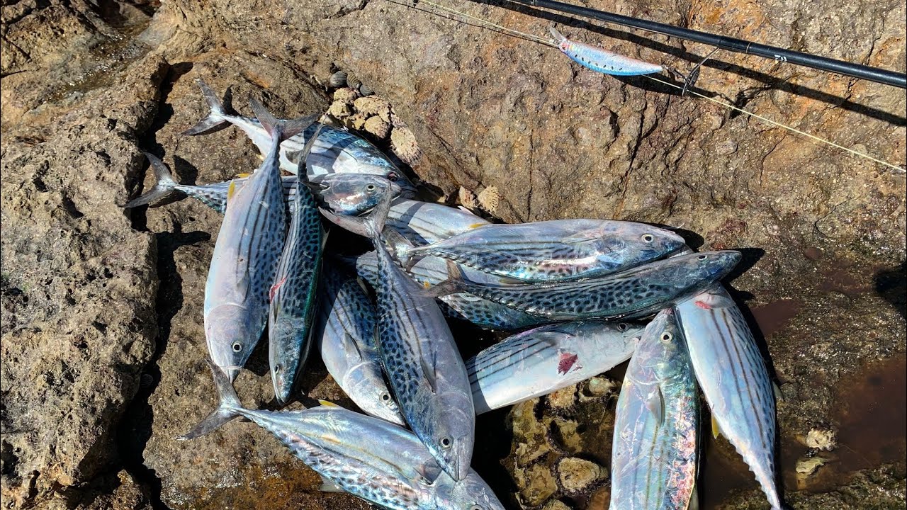Agnes water rock fishing | tuna season | light set-up | rock fishing |cat walk  | 17/70 | Queensland