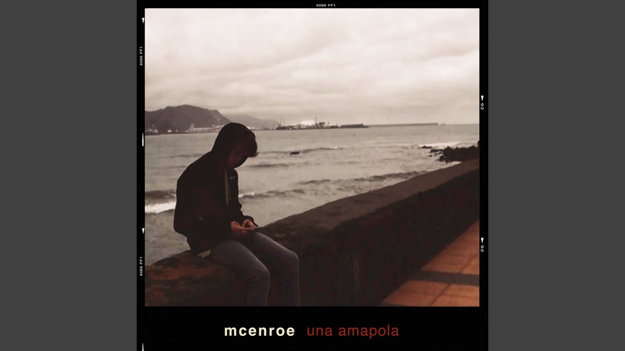 Una amapola