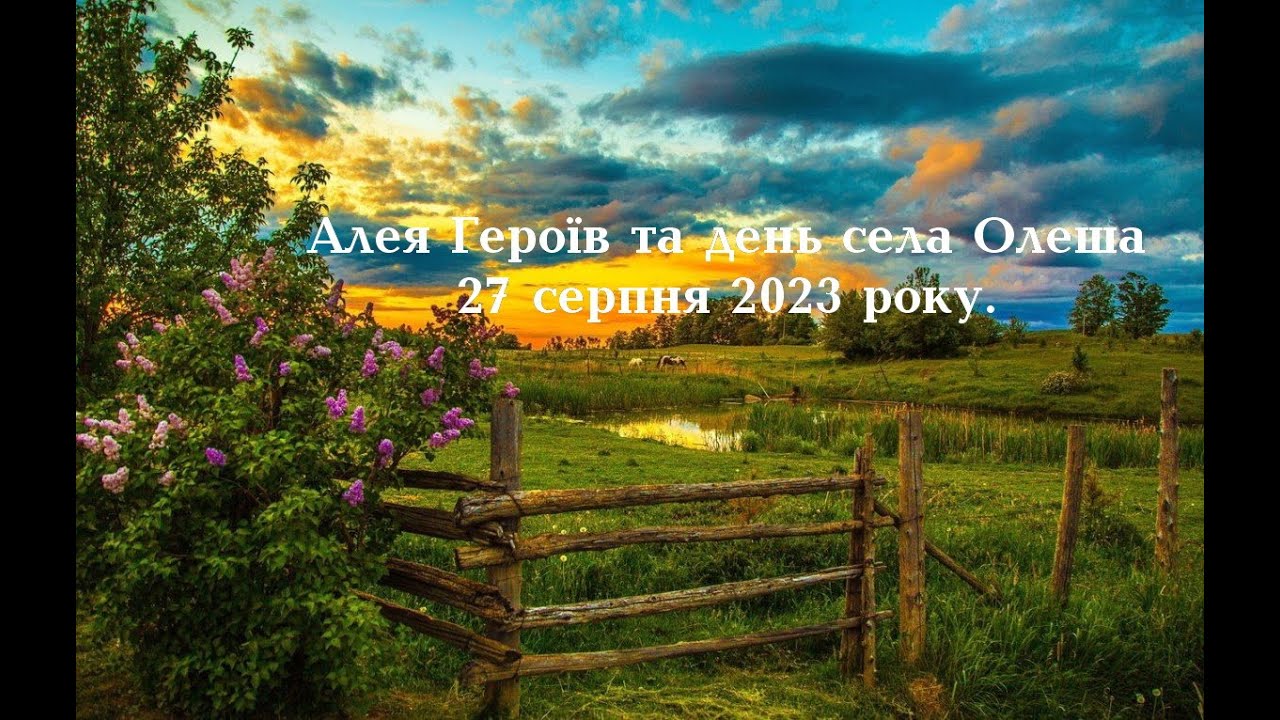 Алея Героїв та ювілей села Олеша