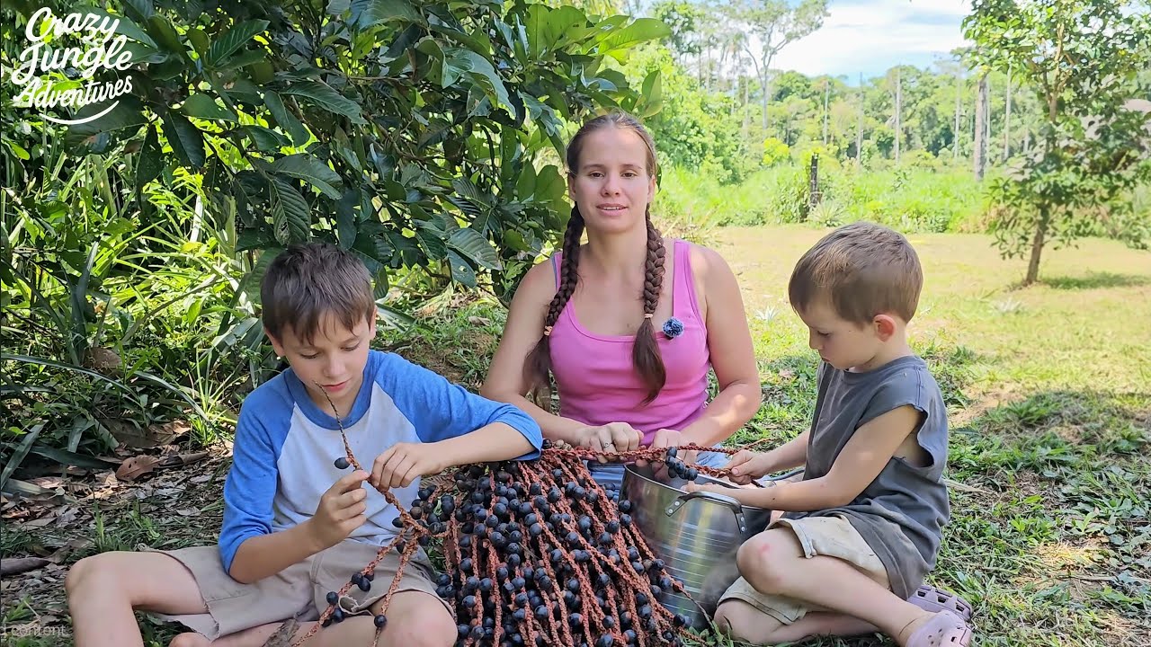Собирайте плоды майо: пошаговая подготовка и свежий сок из джунглей #JungleLife #MajoHarvest #Off...